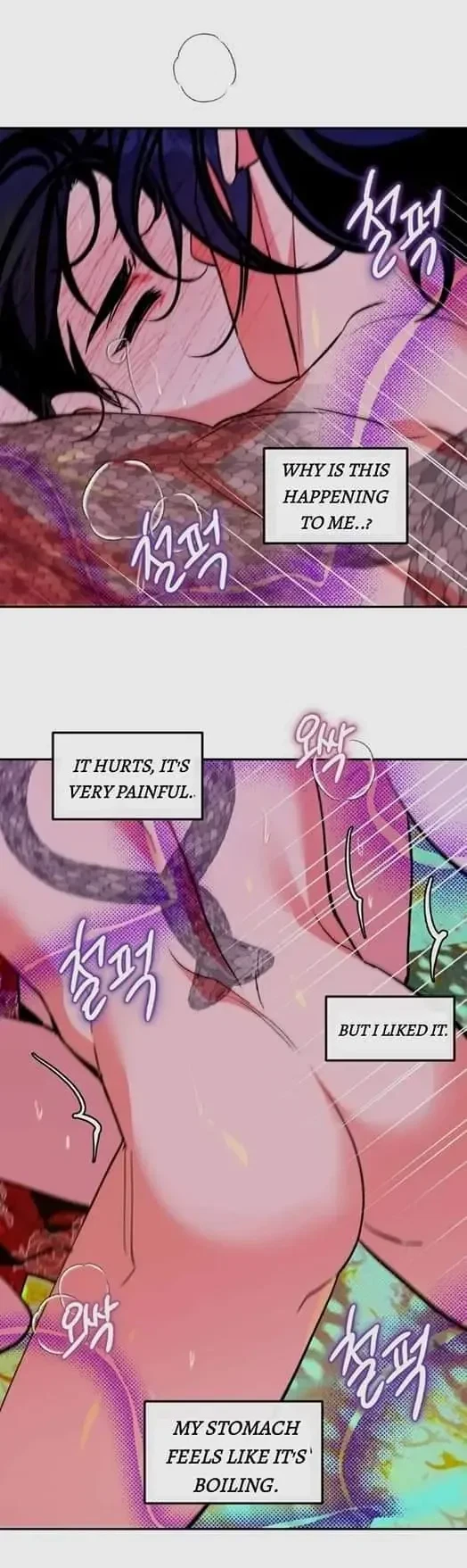 Chapter 3, page 17