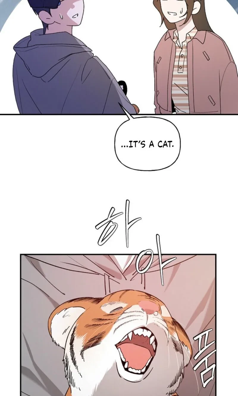 Chapter 37, page 11