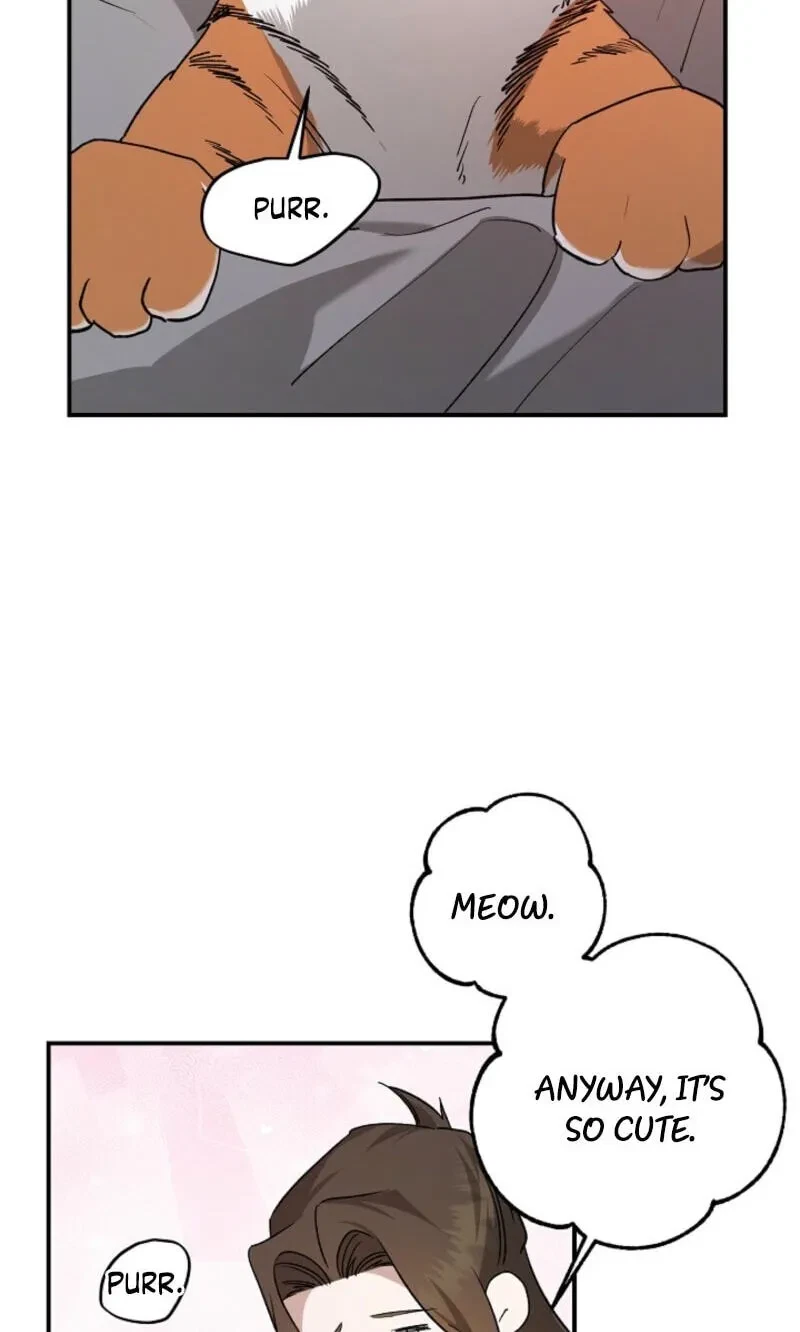 Chapter 37, page 12