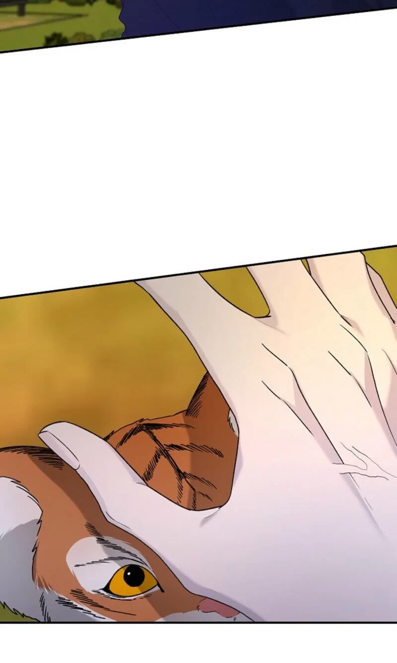 Chapter 37, page 64