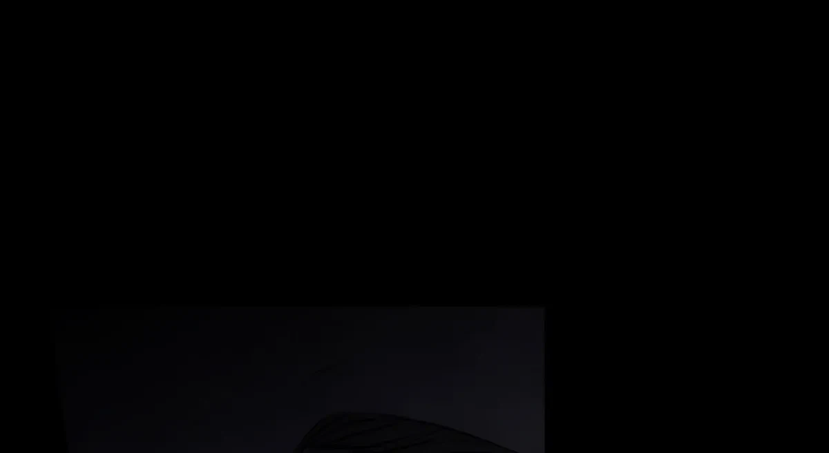 Chapter 4, page 44