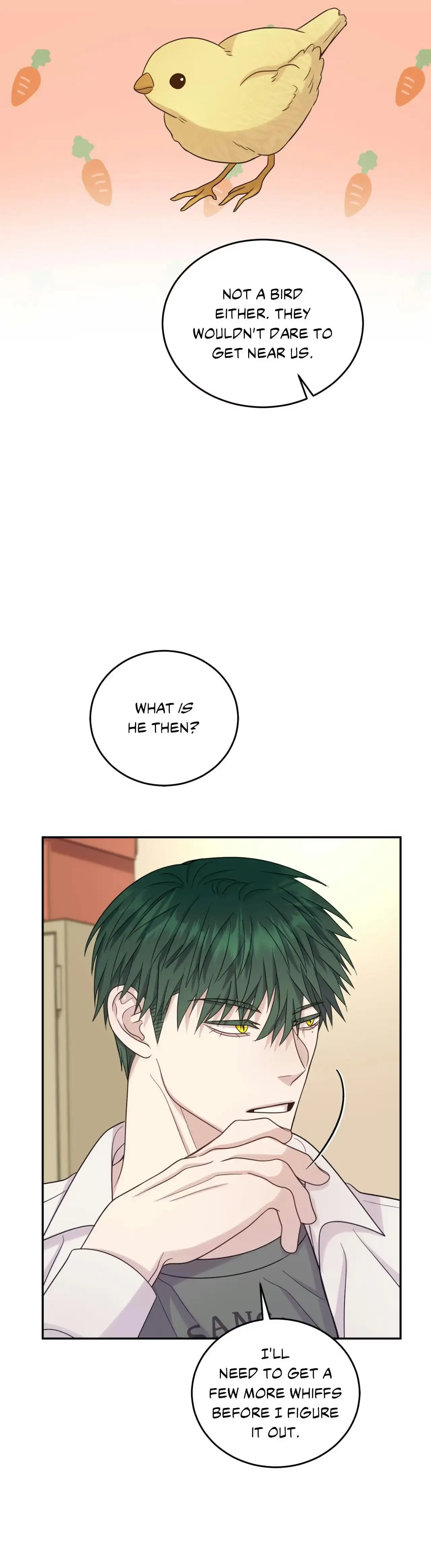 Chapter 4, page 28
