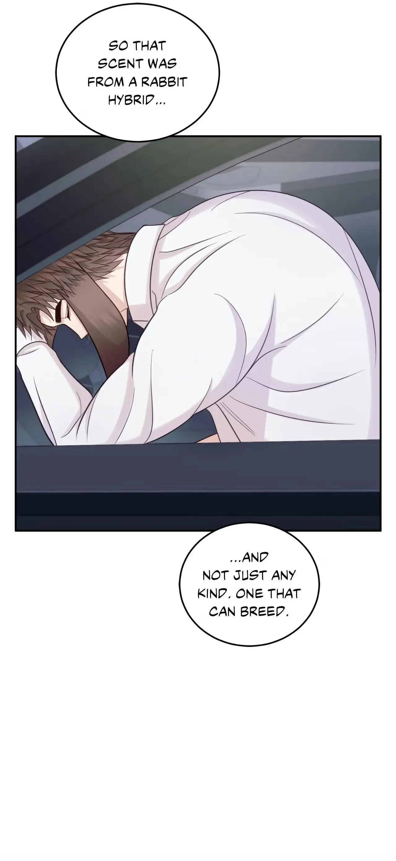 Chapter 4, page 38
