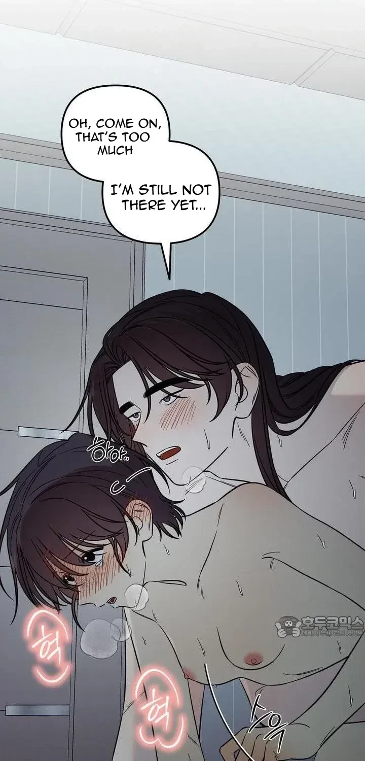 Chapter 3.4, page 52