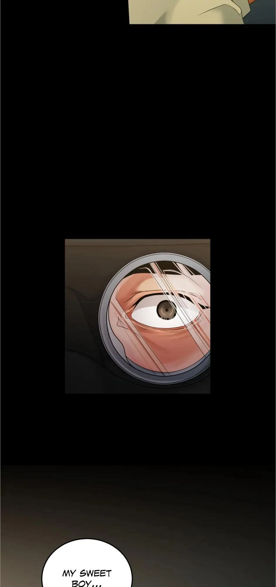 Chapter 2.2, page 31