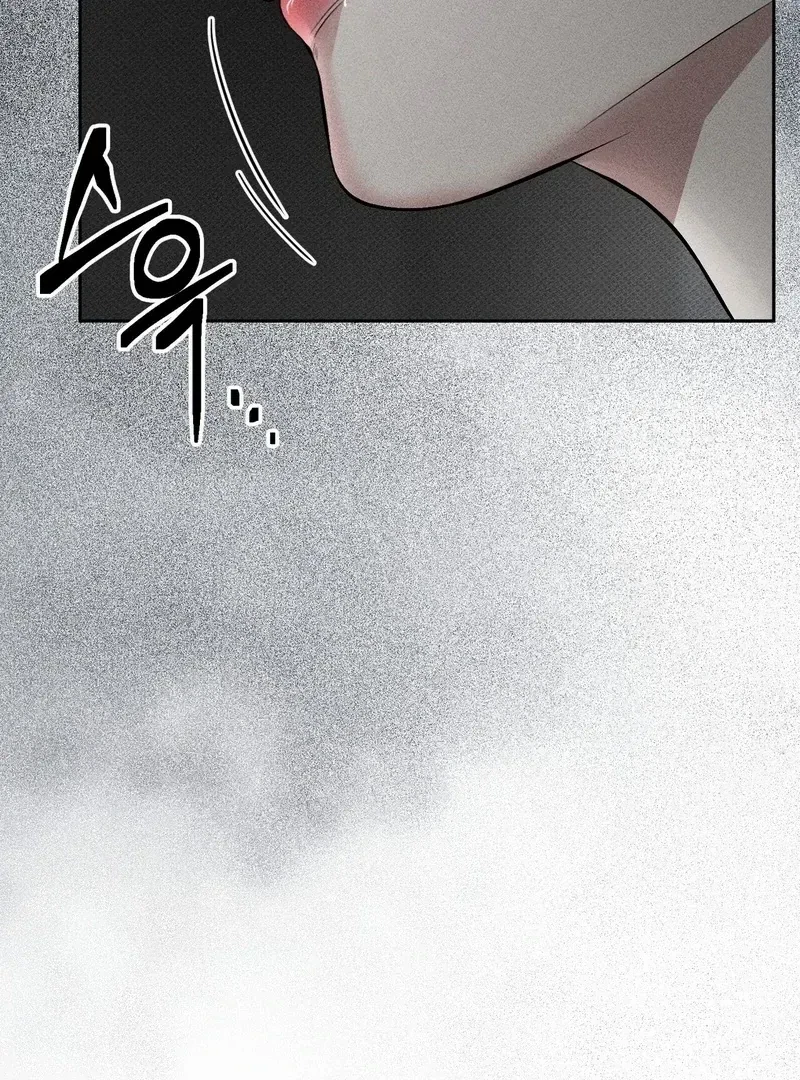 Chapter 3, page 101