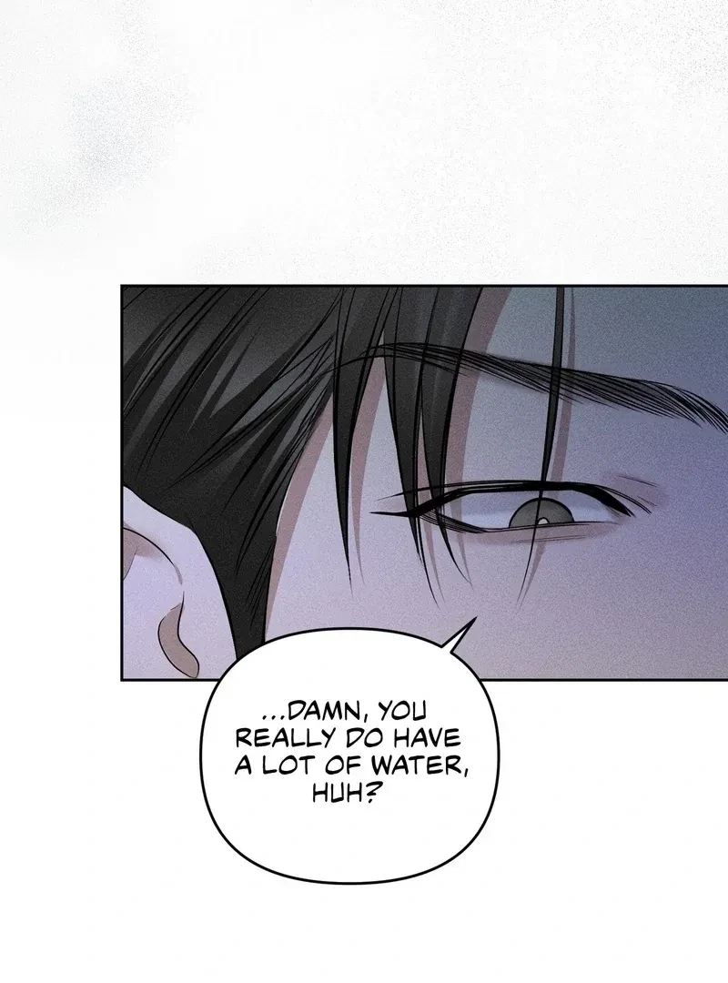 Chapter 3, page 102