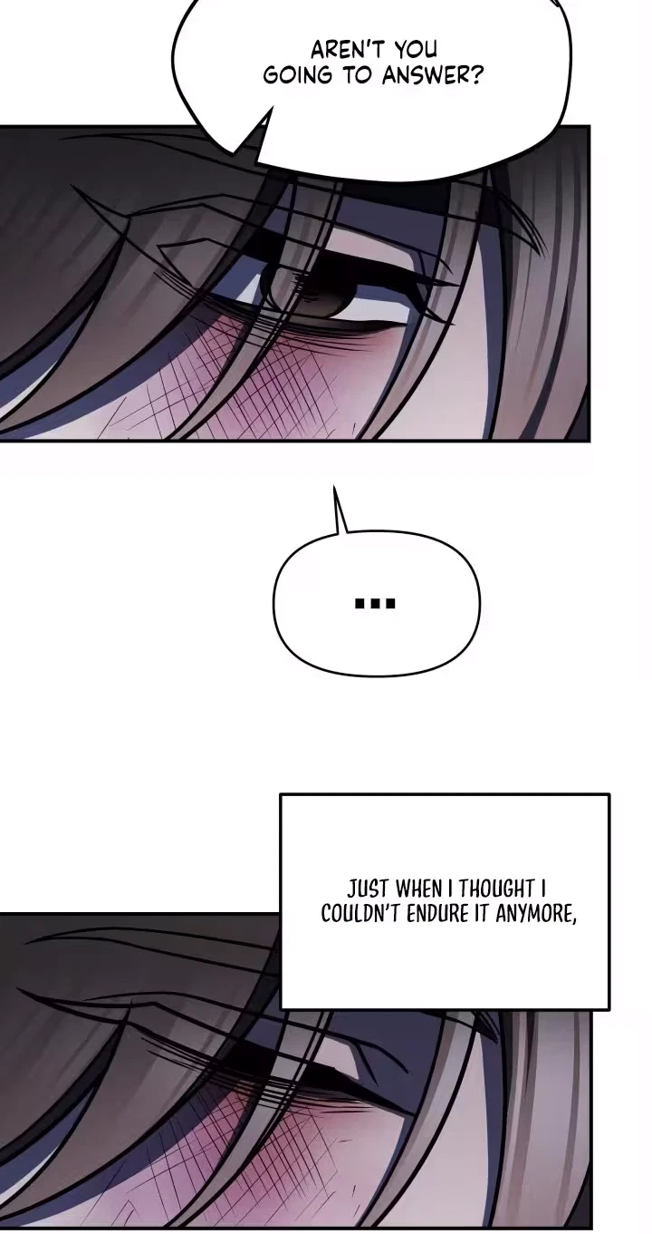 Chapter 1, page 17