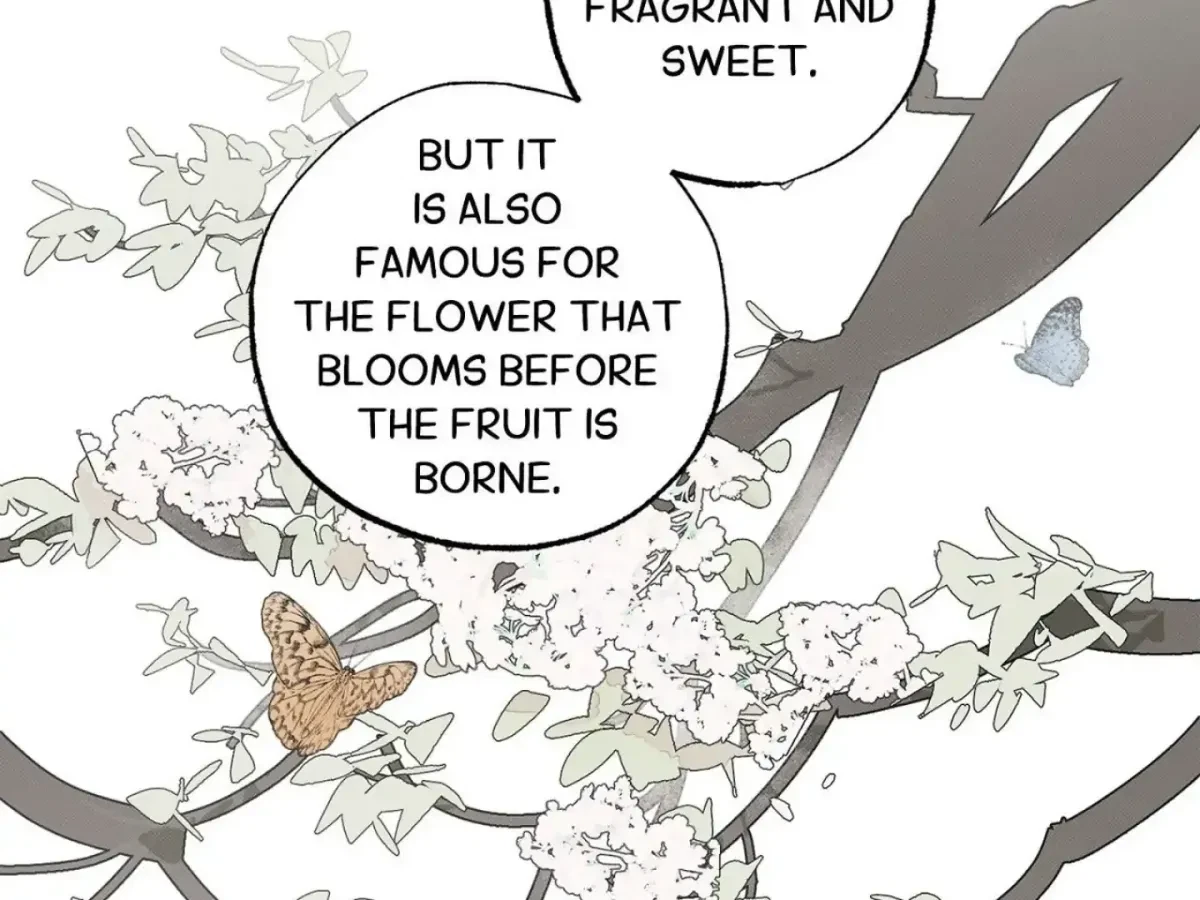 Chapter 4, page 40