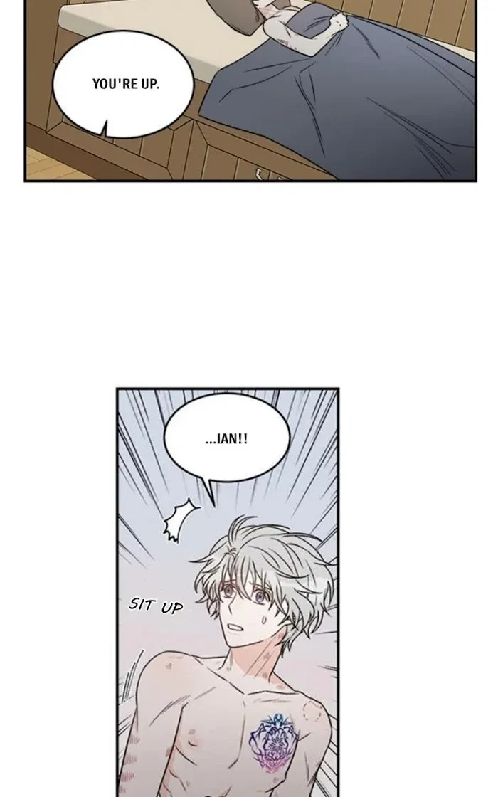 Chapter 3, page 41