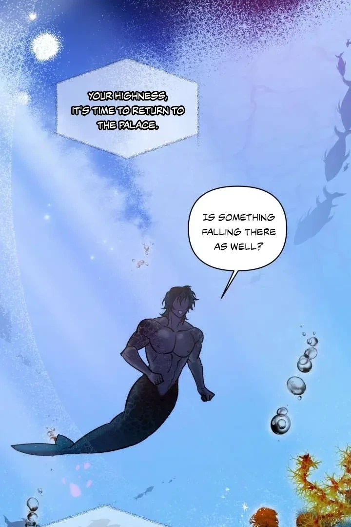 Chapter 1, page 17