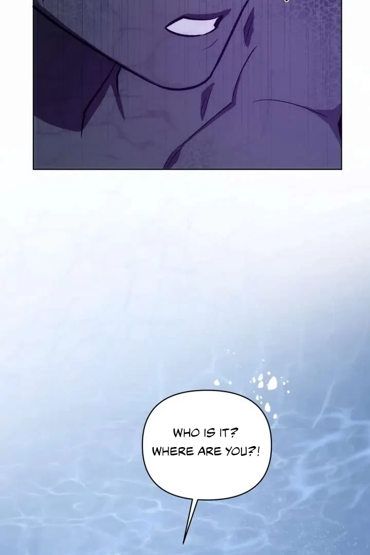 Chapter 1, page 27
