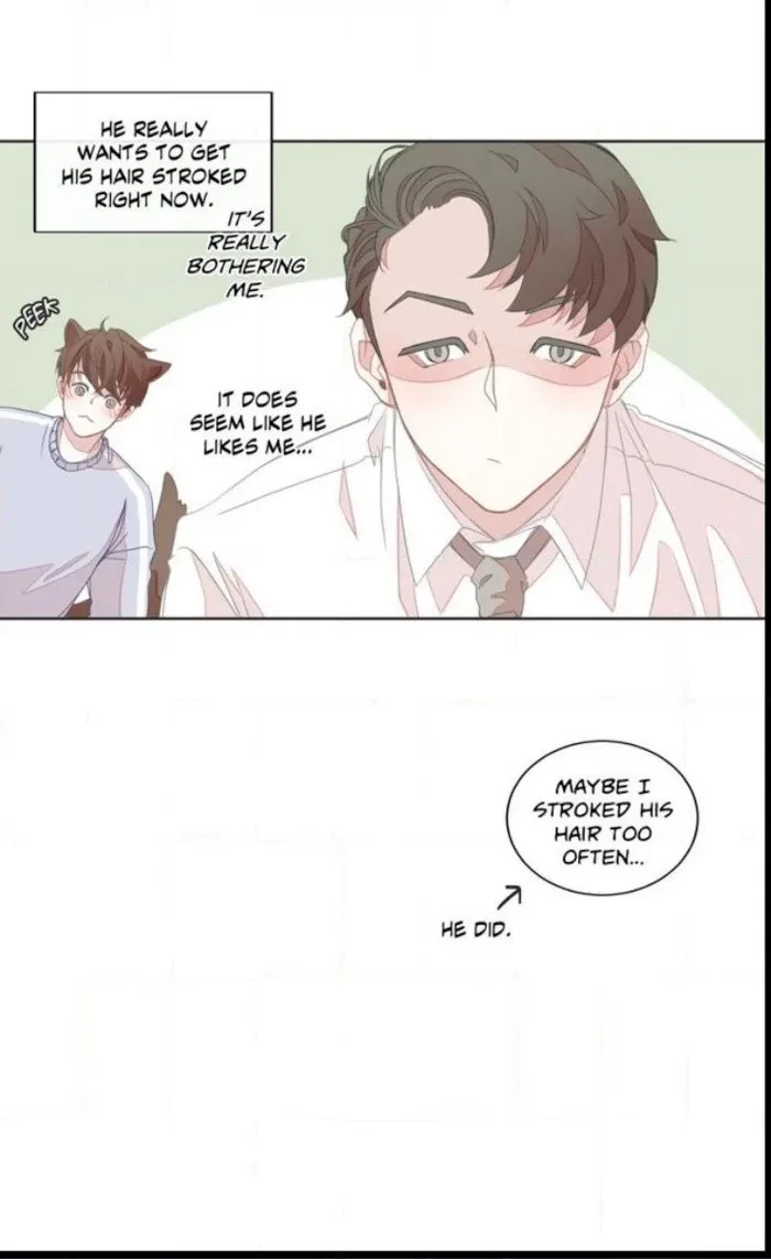 Chapter 8, page 17