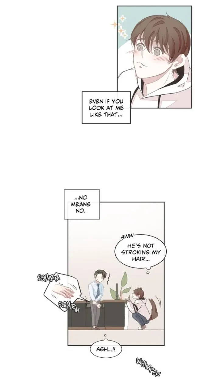 Chapter 8, page 19