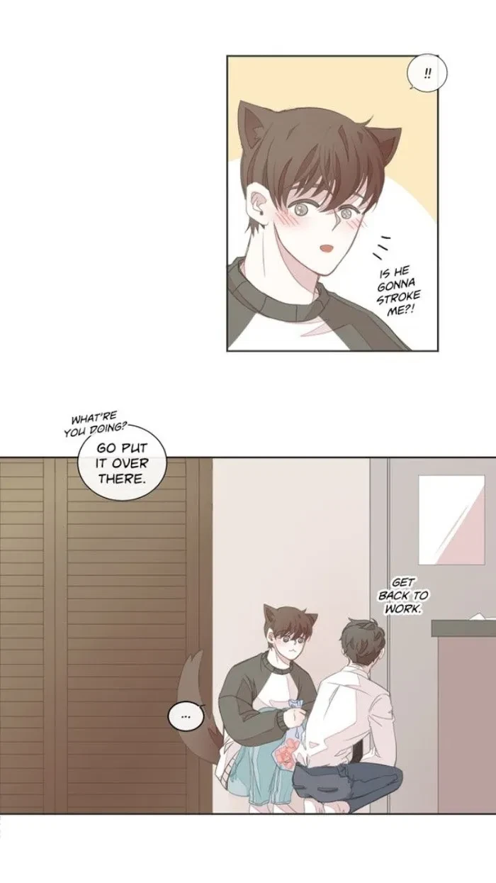 Chapter 8, page 26