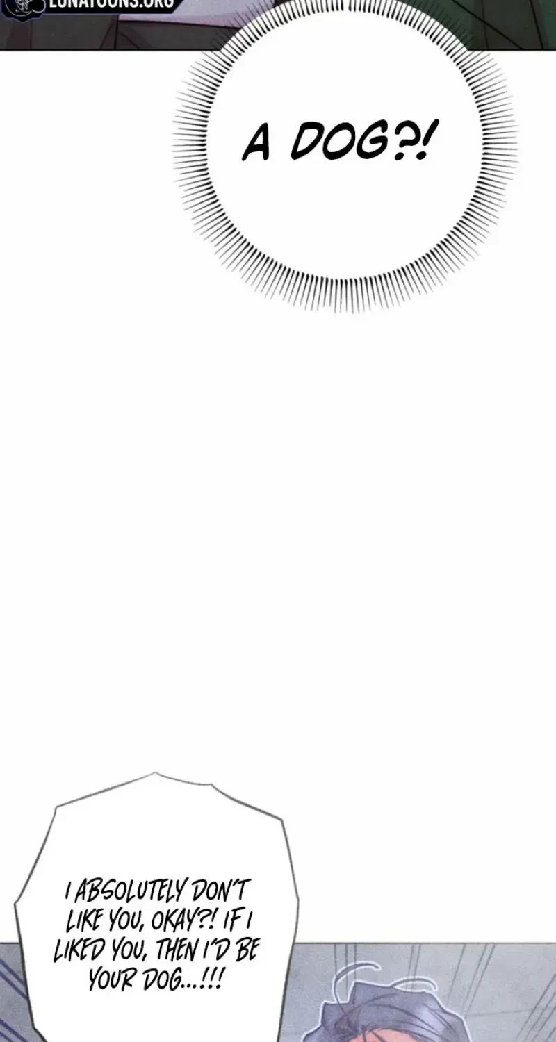 Chapter 41, page 7