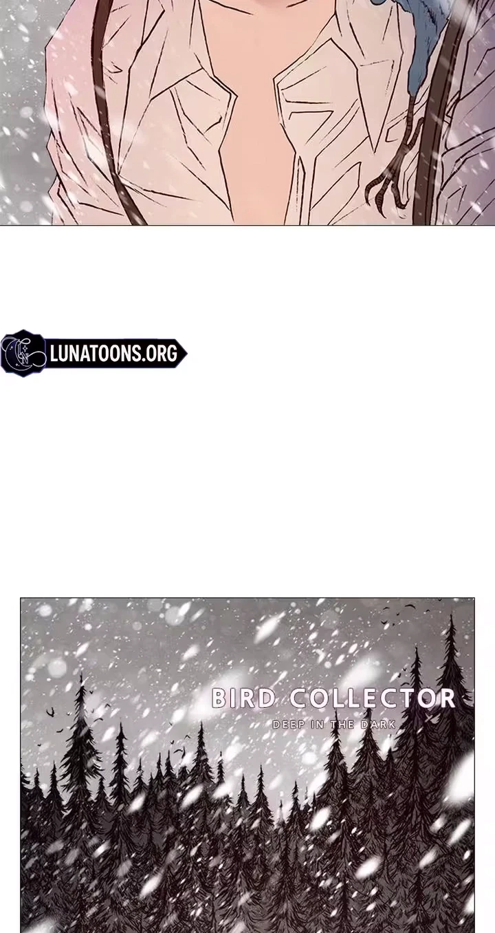 Chapter 41, page 8