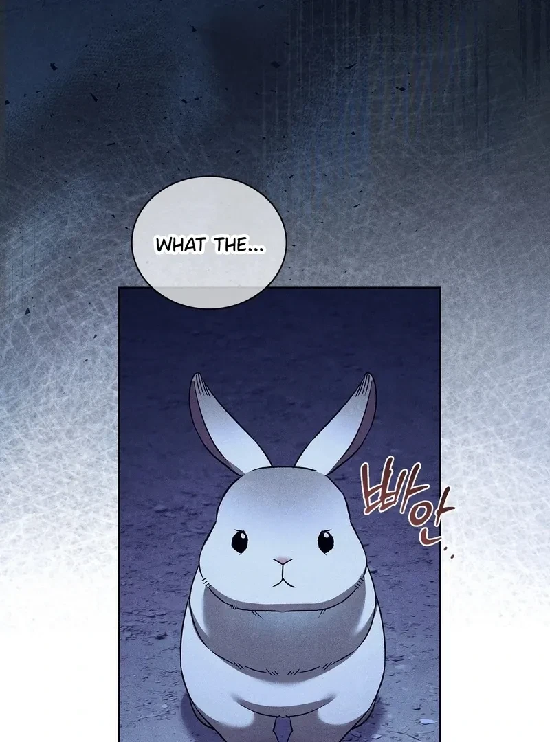 Chapter 6, page 67