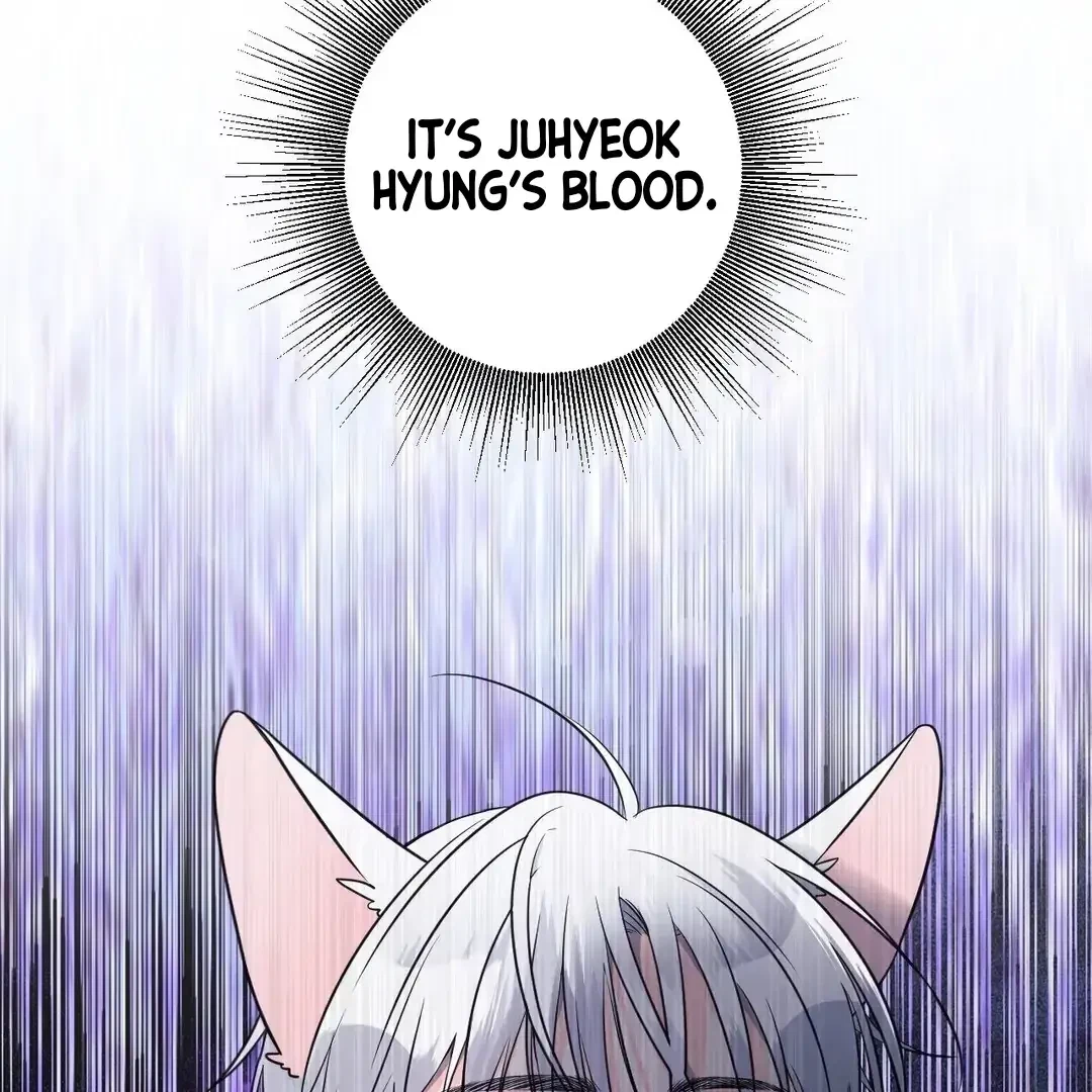 Chapter 4, page 68