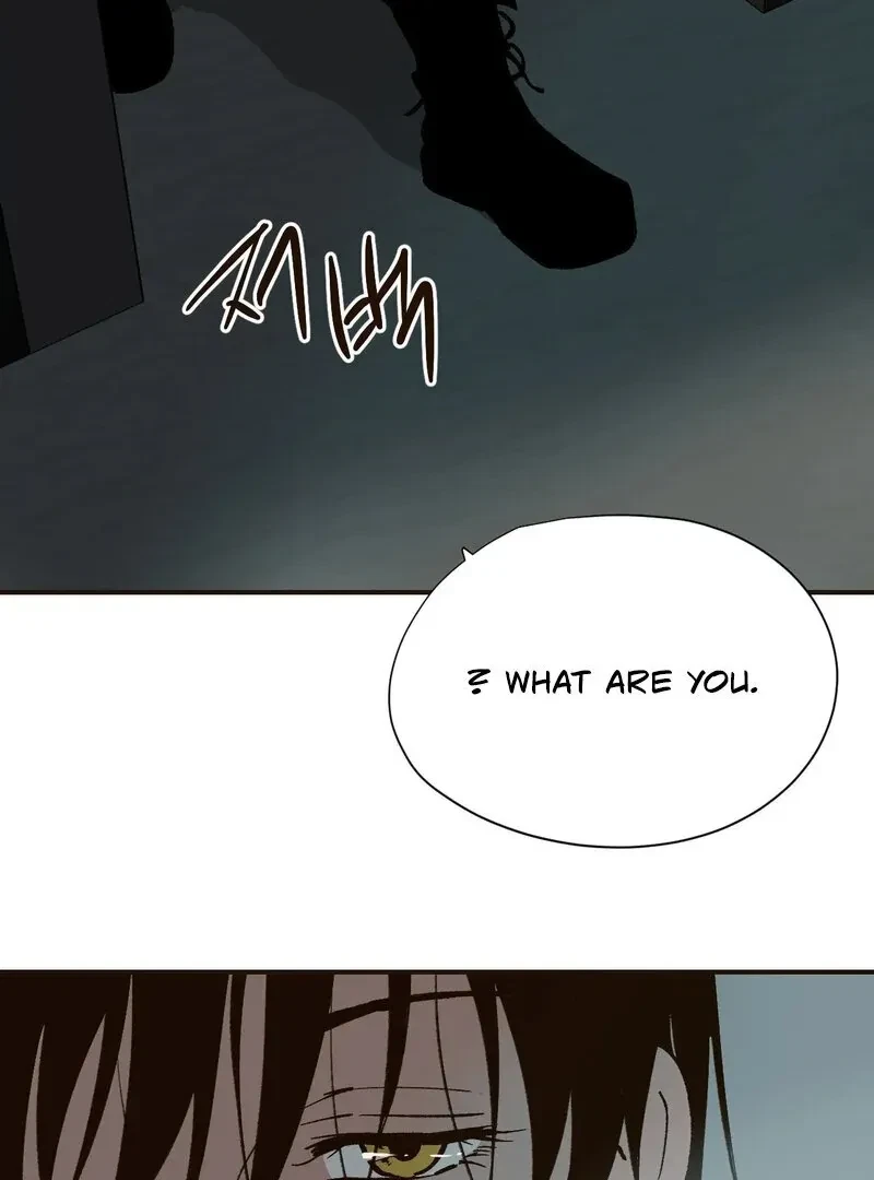 Chapter 5, page 47