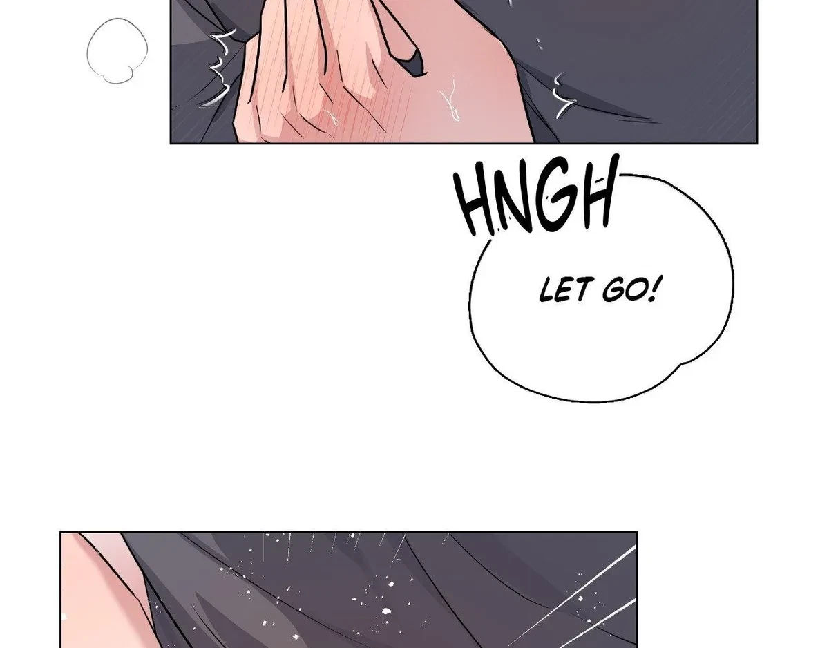 Chapter 5, page 101