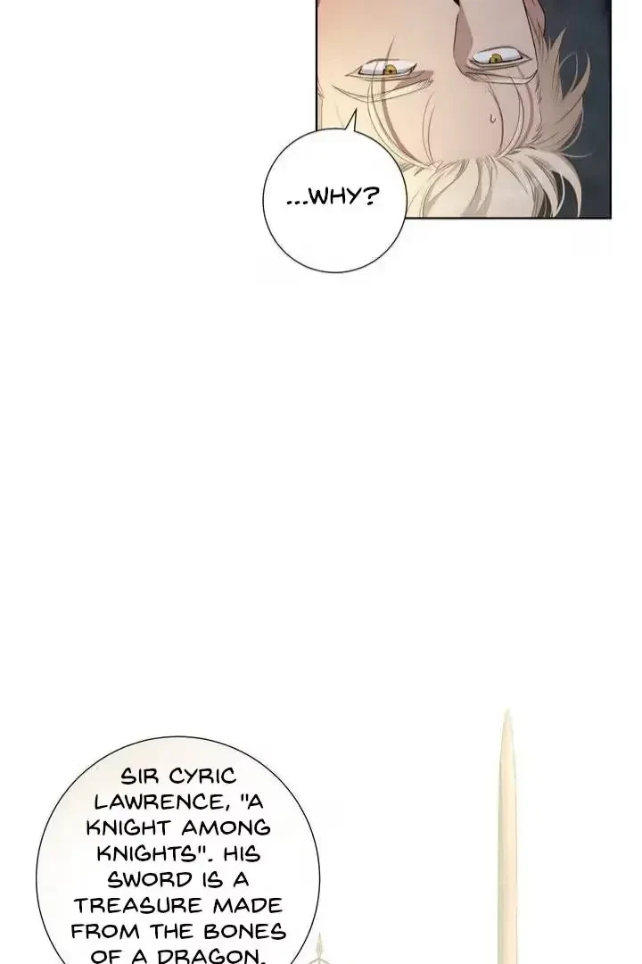 Chapter 1, page 33