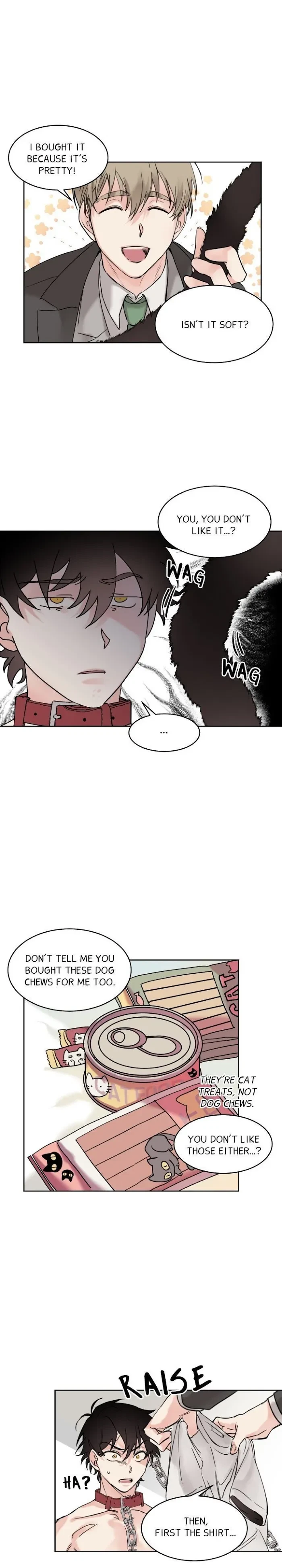 Chapter 2, page 15