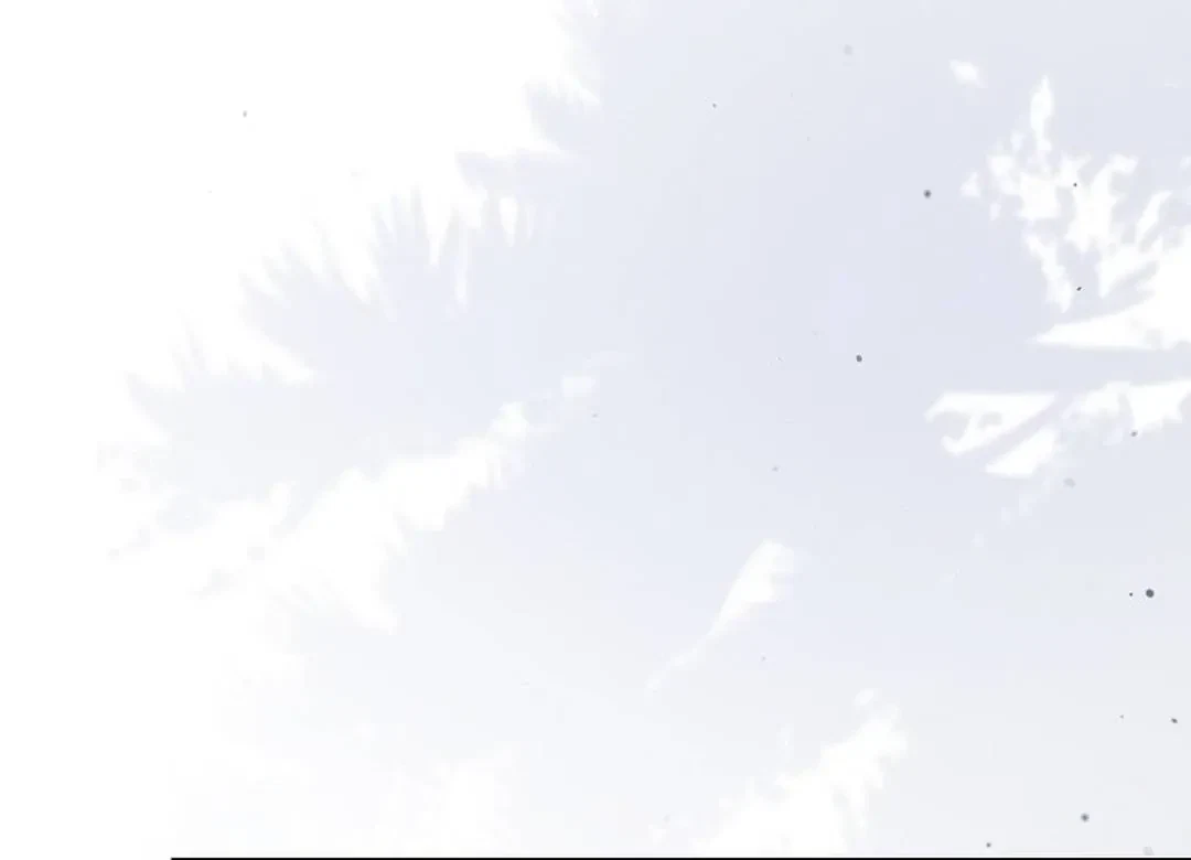 Chapter 5, page 134
