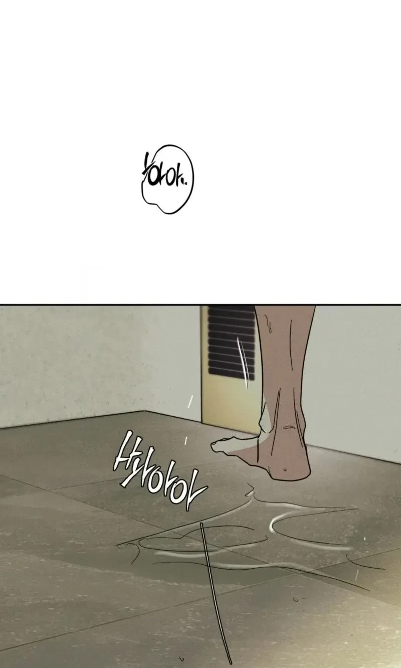 Chapter 66, page 30