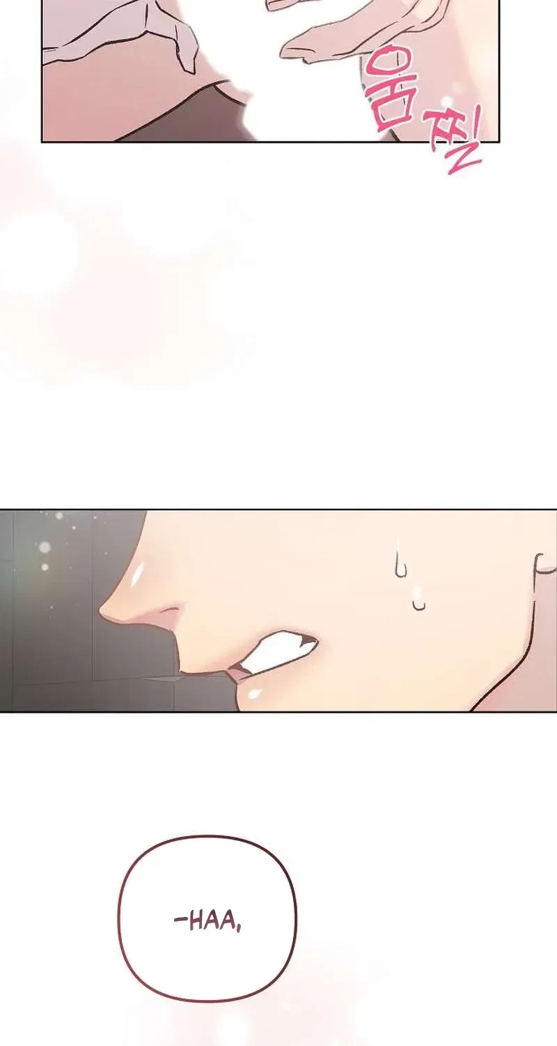 Chapter 2, page 24