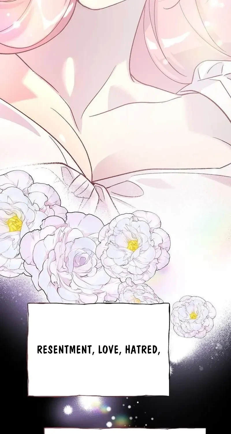 Chapter 2, page 74