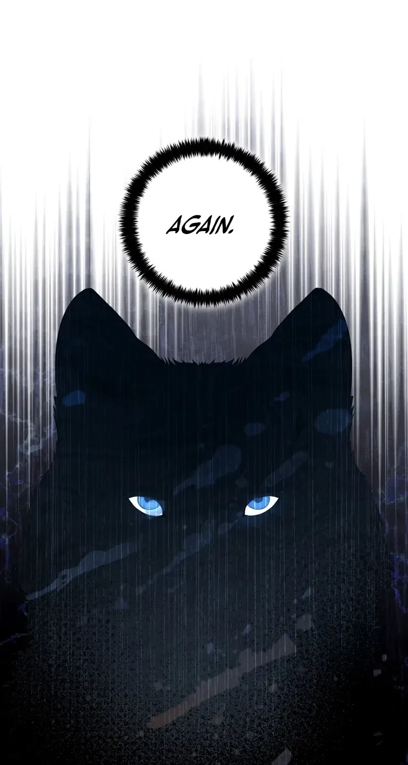 Chapter 3, page 94