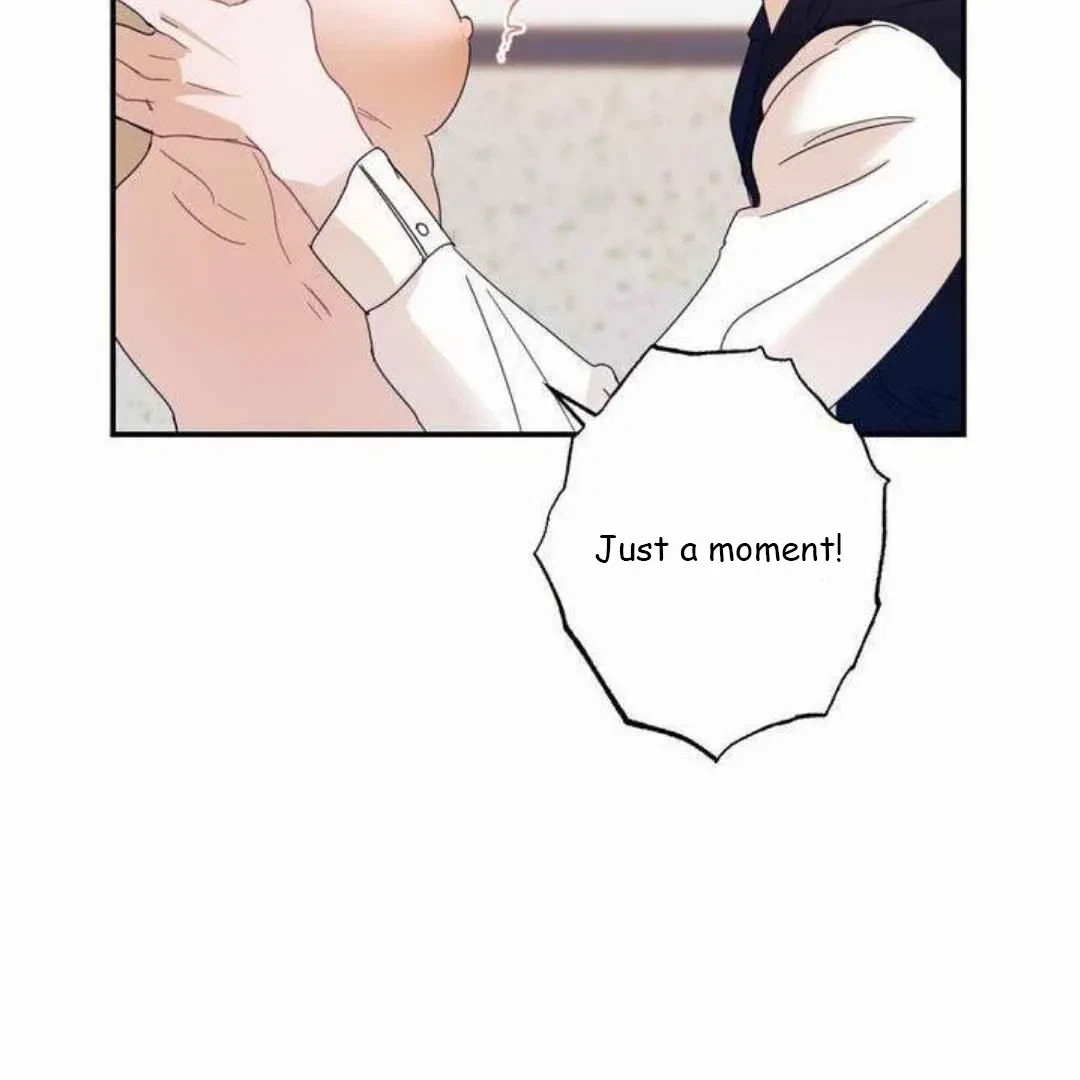 Chapter 2, page 91