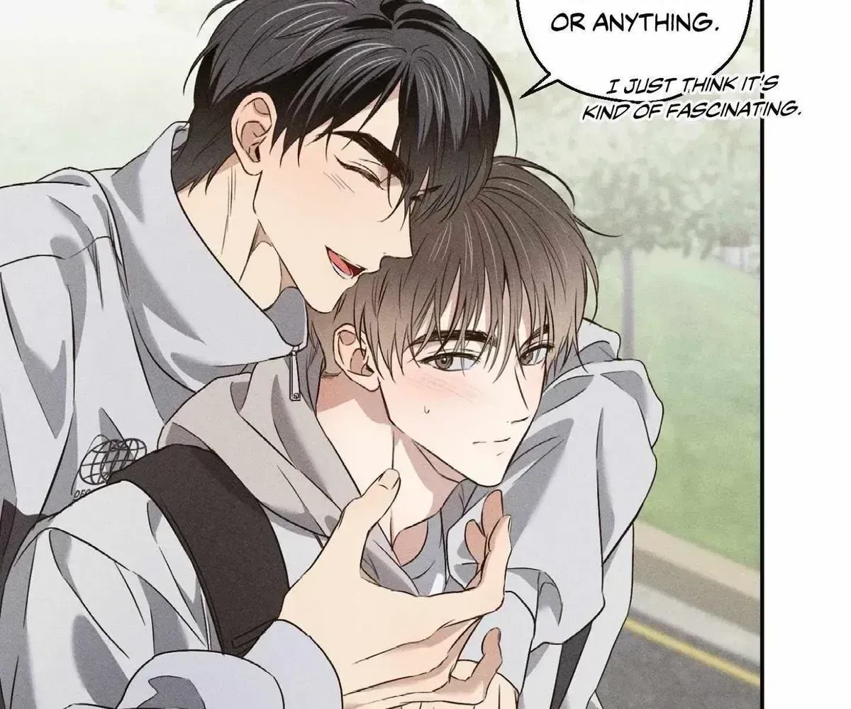 Chapter 2.8, page 37
