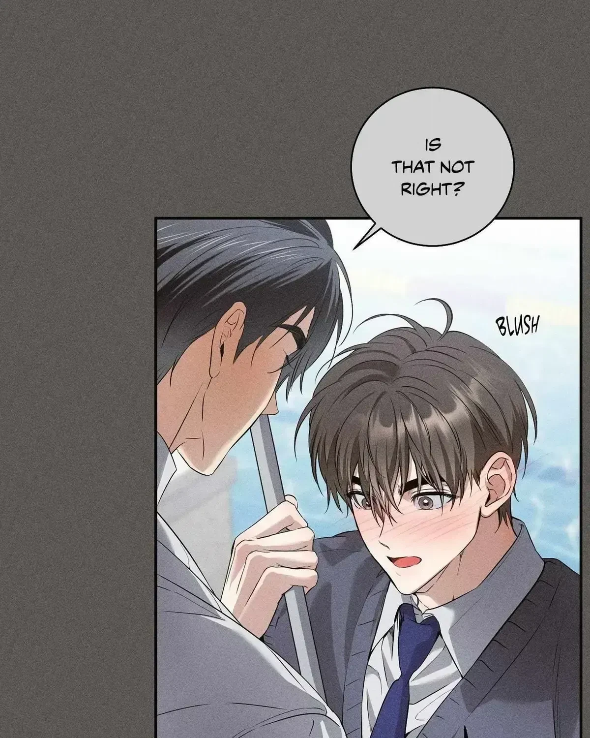 Chapter 2.8, page 87