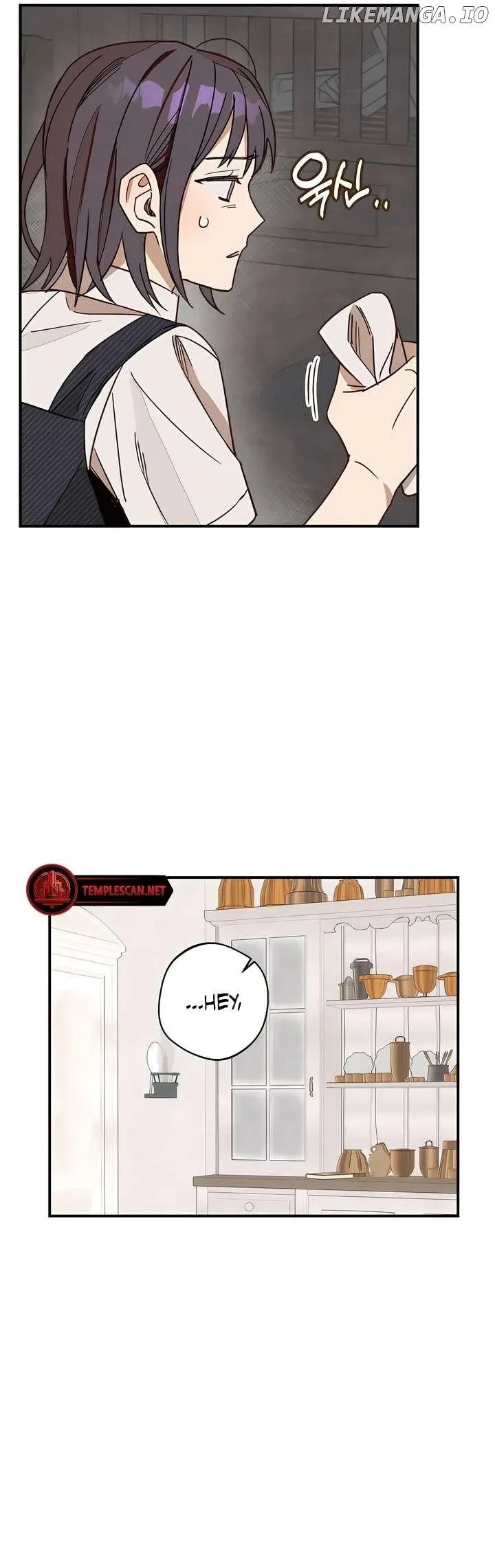 Chapter 2, page 17
