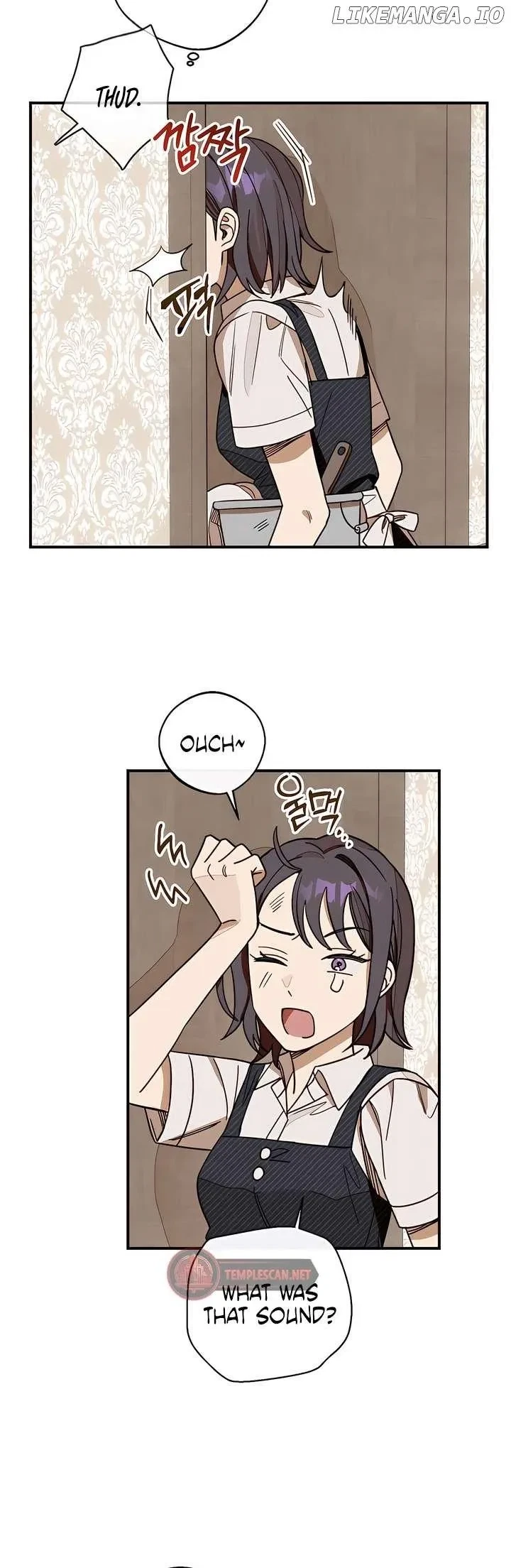 Chapter 2, page 29
