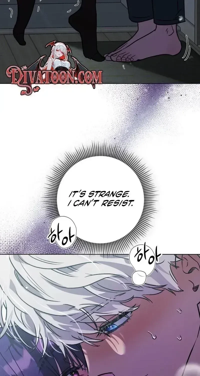 Chapter 1.5, page 98