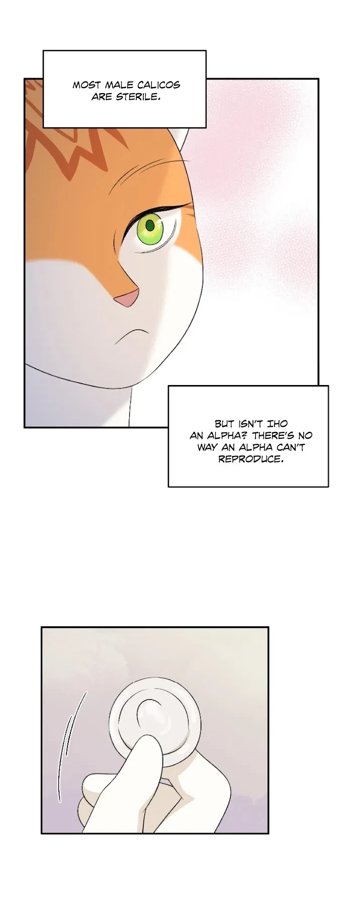 Chapter 6, page 22