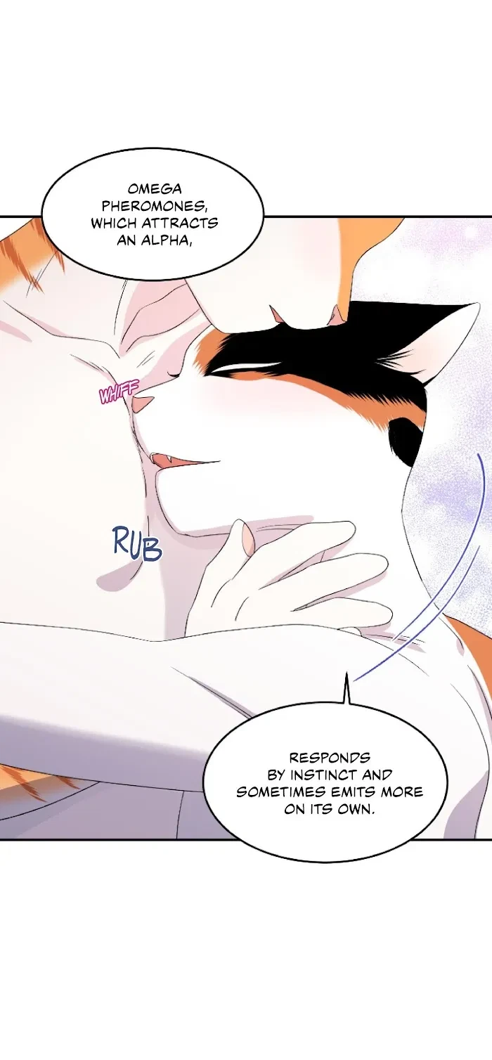 Chapter 6, page 40