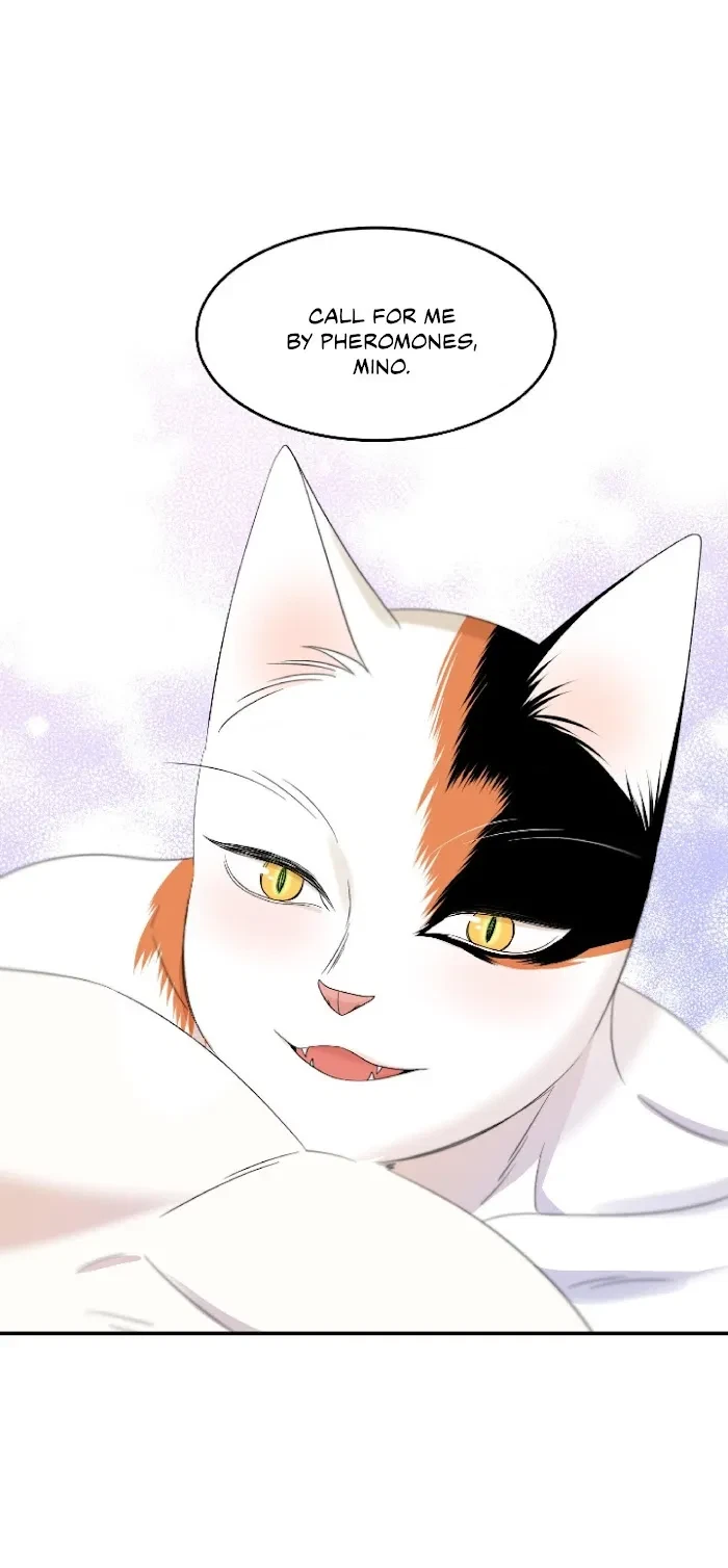 Chapter 6, page 41