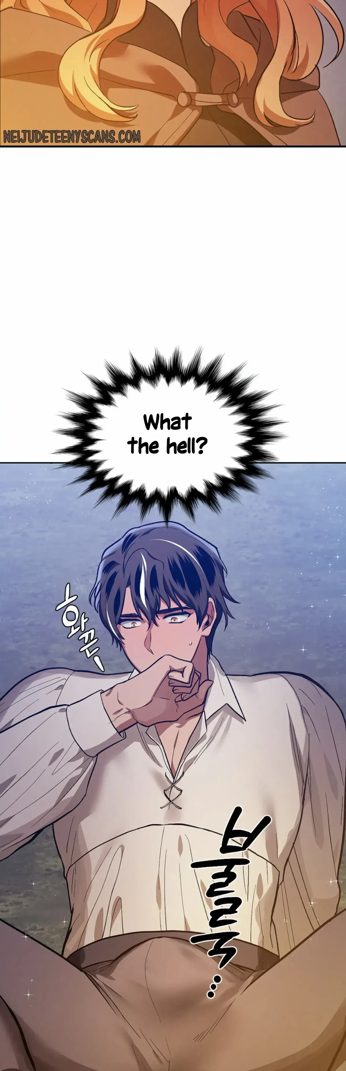 The Emperor Is HARD To Please! Chapter 4, page 2