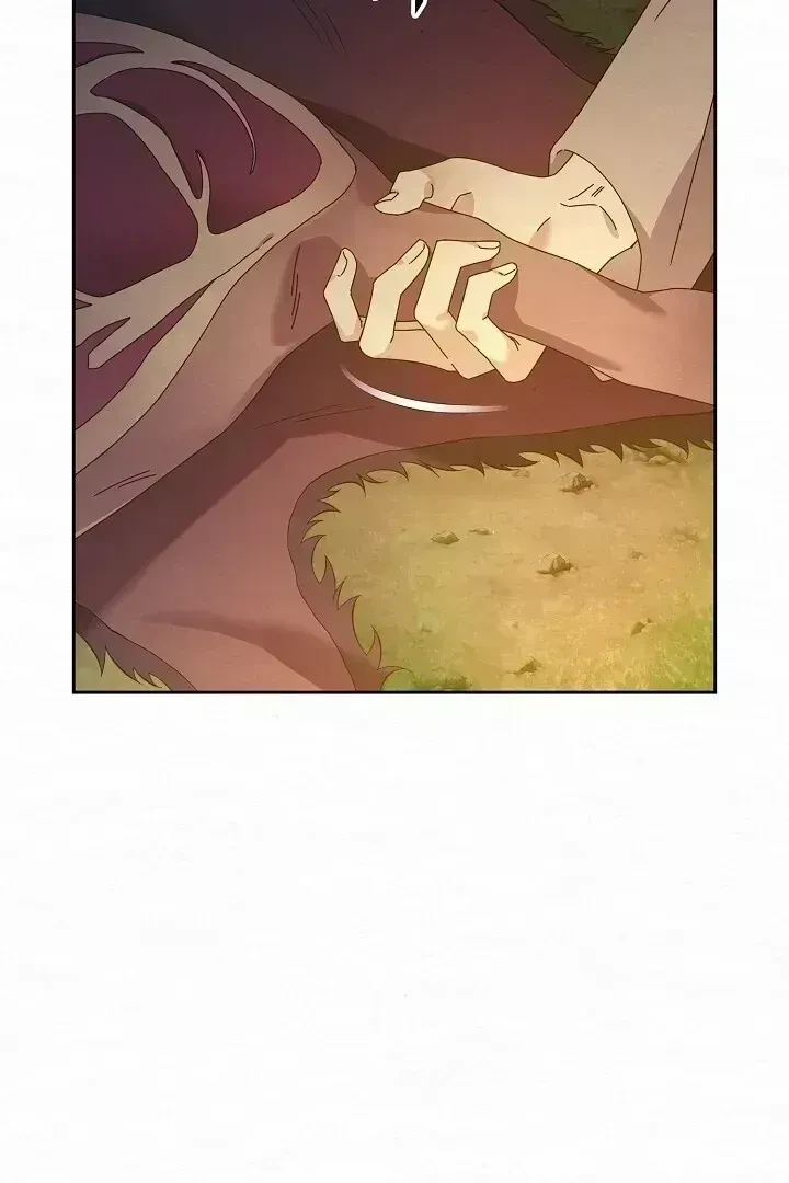 Chapter 1.6, page 102