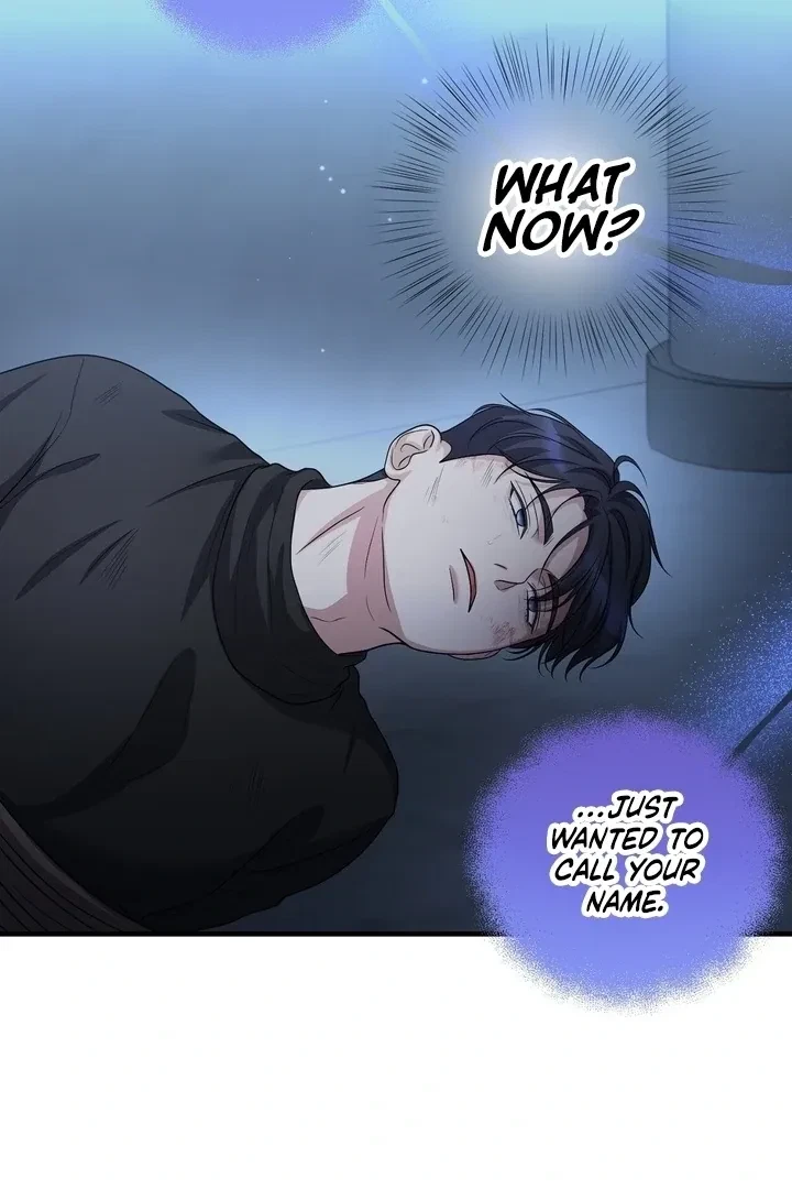 Chapter 17, page 108
