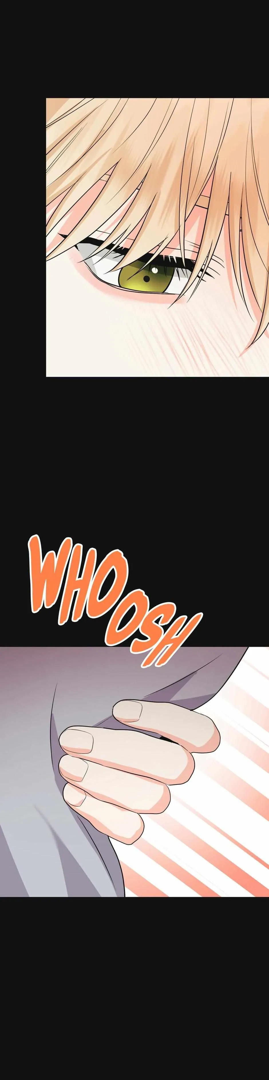Chapter 3, page 29