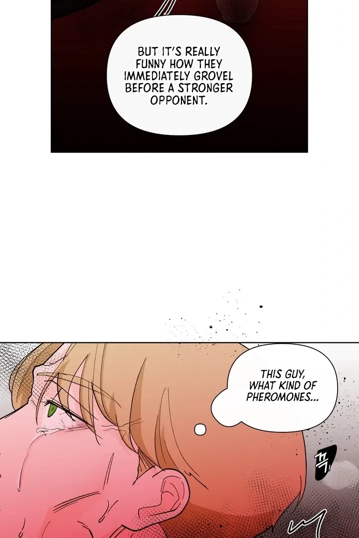 Chapter 4, page 62