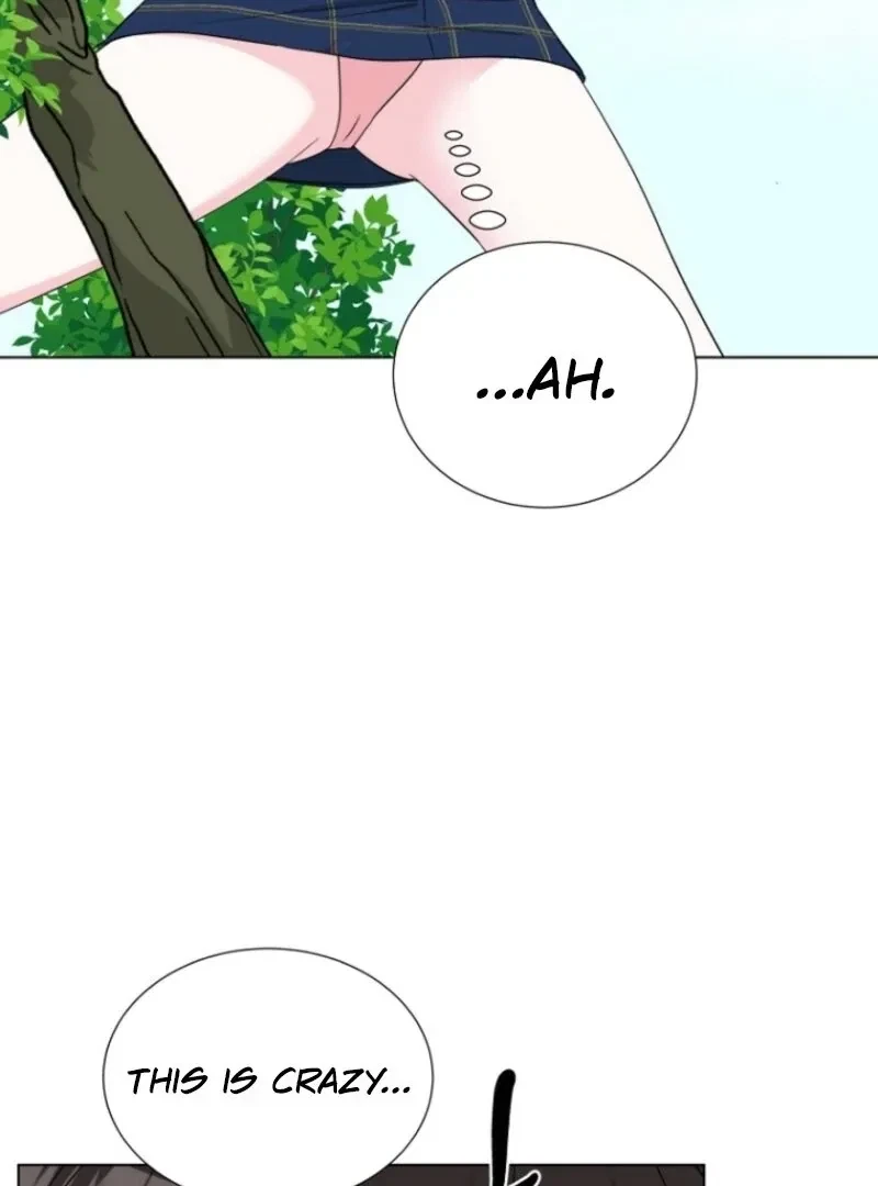 Chapter 5, page 80