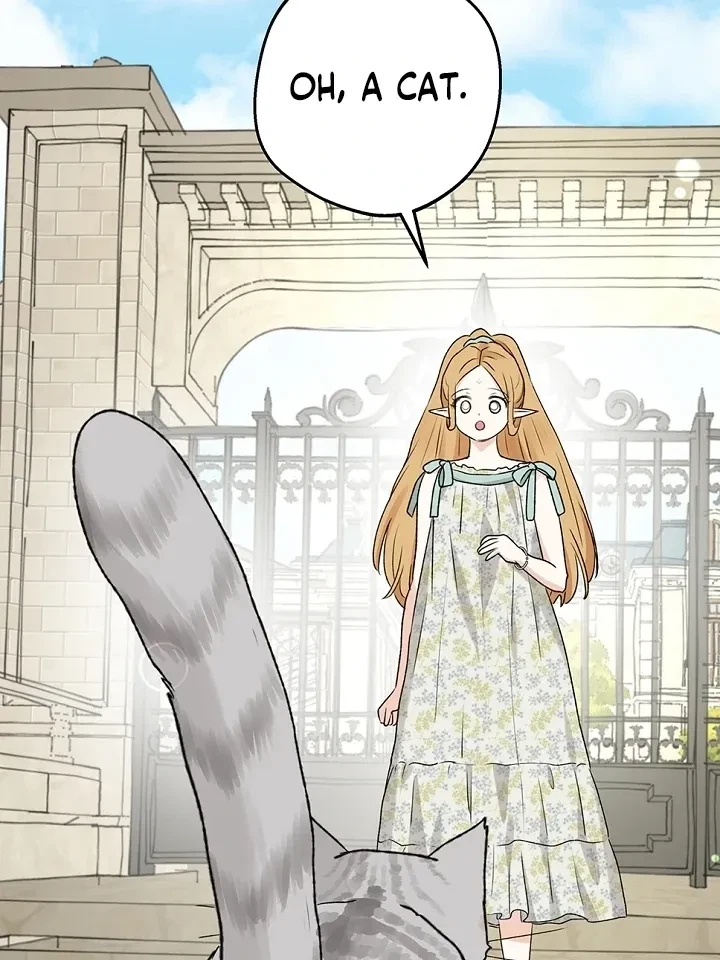 Chapter 53, page 41