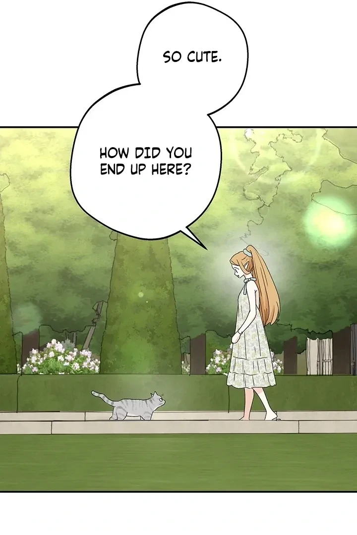 Chapter 53, page 43