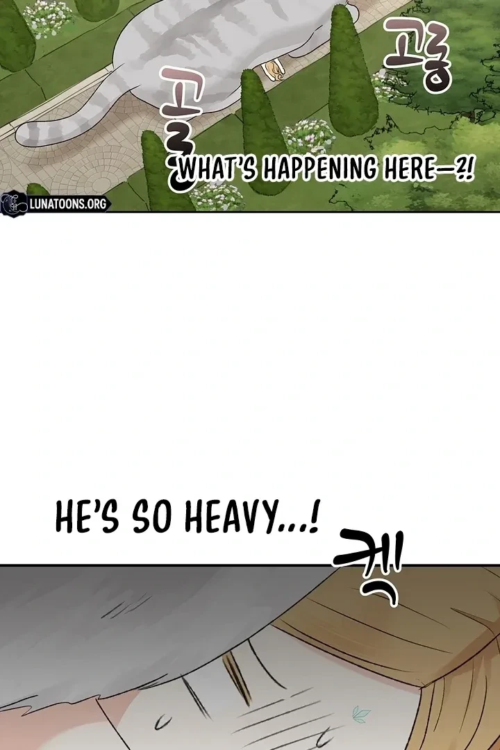Chapter 53, page 54